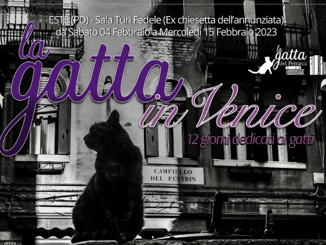 "La gatta in Venice" - mostra dedicata ai gatti 4-15 febbraio
