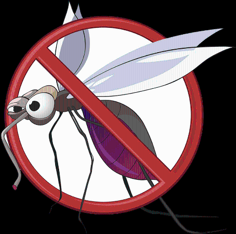 Disinfestazione anti larvale contro le zanzare