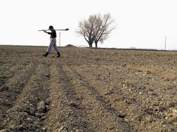 Carenza di disponibilità idrica nel territorio della Regione Veneto